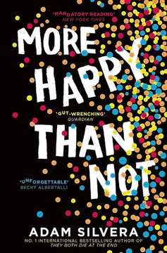 More Happy Than Not by Adam Silvera