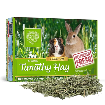 Small Pet Select 1st Cut Timothy Hay Pet