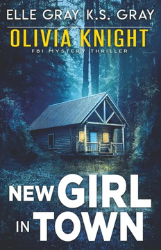 New Girl in Town by Elle Gray, K.S. Gray book cover