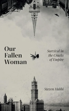 Our Fallen Woman by Steven Habbi book cover