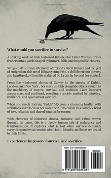 Our Fallen Woman by Steven Habbi book cover