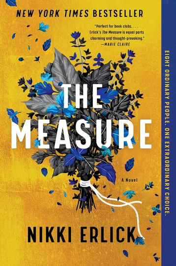 The Measure: A Novel by Nikki Erlick