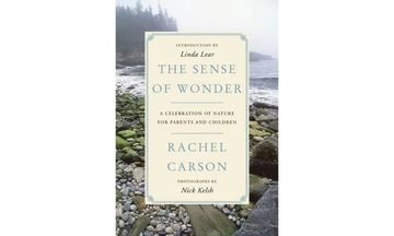 The Sense of Wonder: A Celebration of Nature for Parents and Children by Rachel Carson